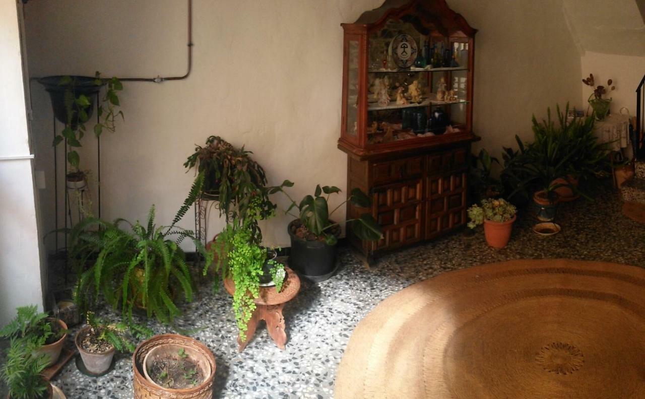 Apartament Rural Vilaplana Extérieur photo